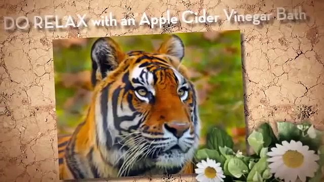 apple cider vinegar for dogs | apple cider vinegar benefits | best|natural diuretics|weight loss