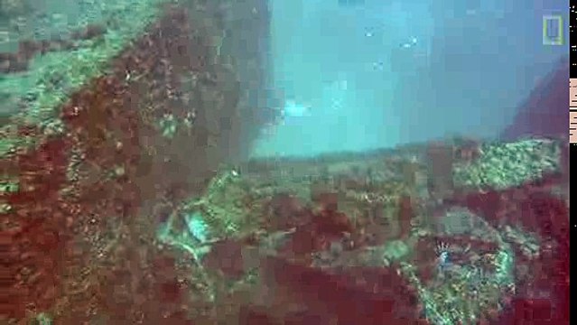 Huge Fish Drags Fisherman Around After Stealing His Catch