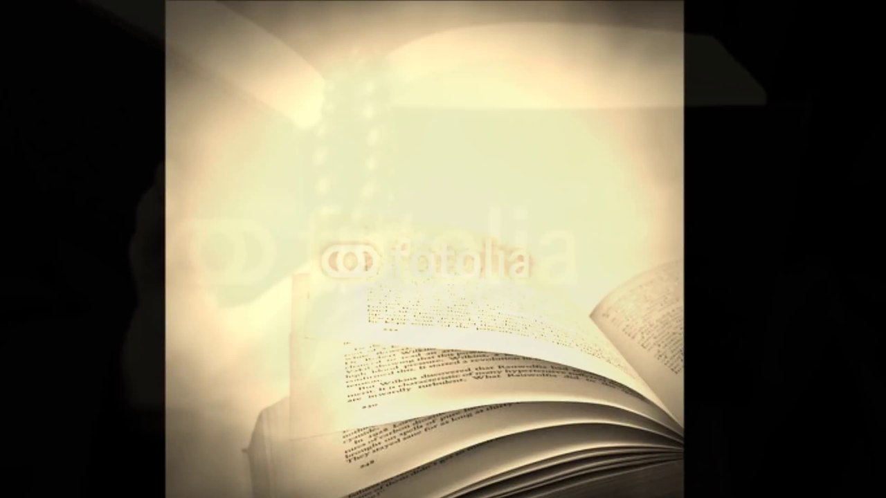 Macyko - 910 - Le livre d'or