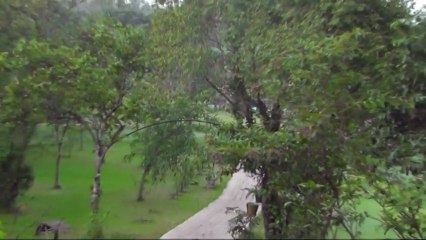 ШРИ ЛАНКА, УТРО, ОТЕЛЬ CAMELIIA RESORT