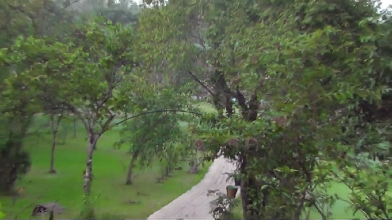 ШРИ ЛАНКА, УТРО, ОТЕЛЬ CAMELIIA RESORT