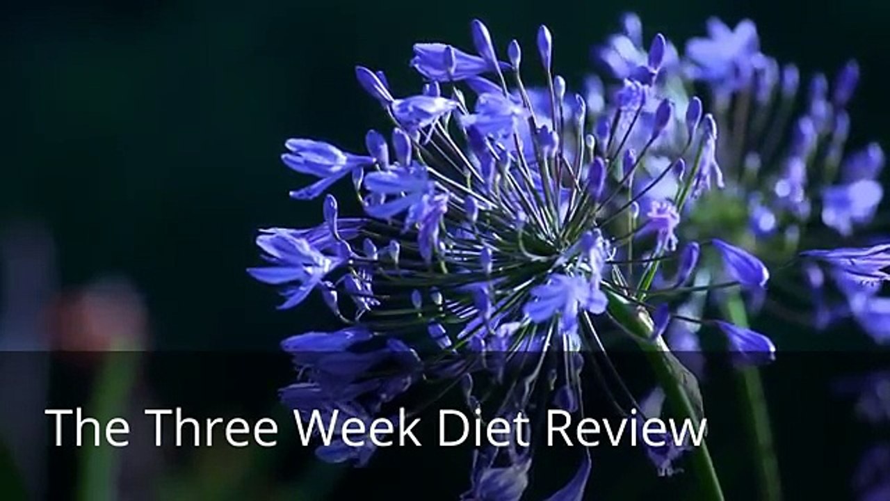 Shapeshifter Yoga Review - Shapeshifter Yoga by Kris Fondran