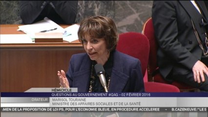 Virus Zika : Touraine "recommande aux femmes enceintes de ne pas se rendre dans les territoires touchés"