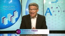 Frédéric Fréry, Xerfi Canal Les dangers des équipes projets