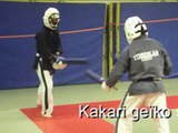 resumé 1 COURS YOSEIKAN BUDO YONNAIS DU 28/01/2016