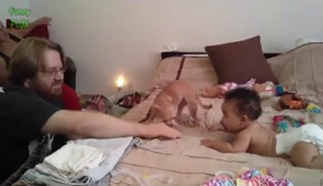 dog with baby