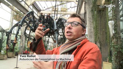 Une araignée géante aux Machines de l'Ile !