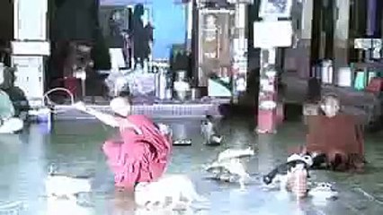 Монастырь прыгающих кошек (Мьянма) Туры в Мьянму