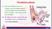 Menstrual Cycle ( Ovulation Phase , Luteal phase / Secretory phase &. Menstruation )