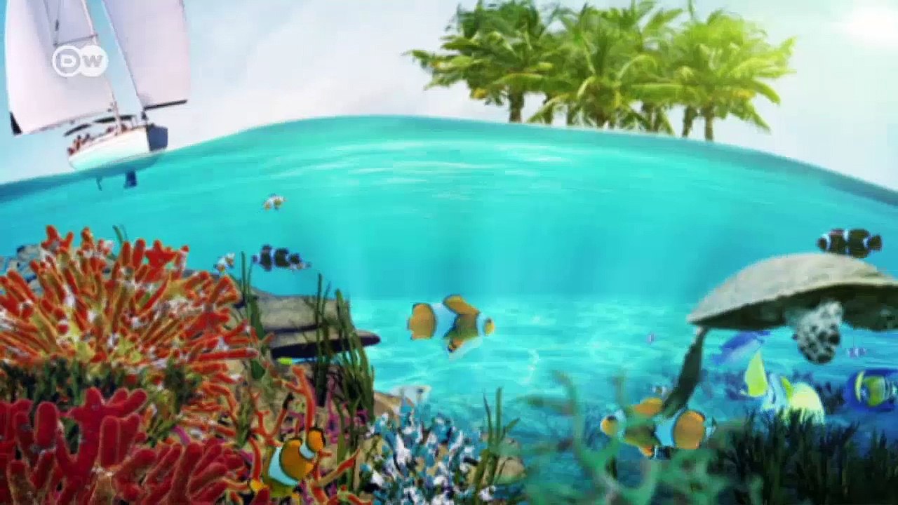 Camboya: delfines del Mekong bajo peligro | Global 3000