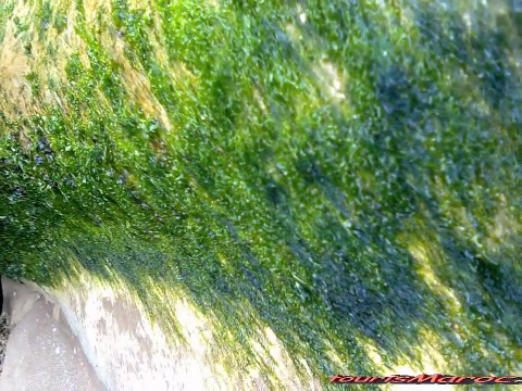 la plage de Laayoune-maroc... la playa de la ciudad de Aiún-Marruecos