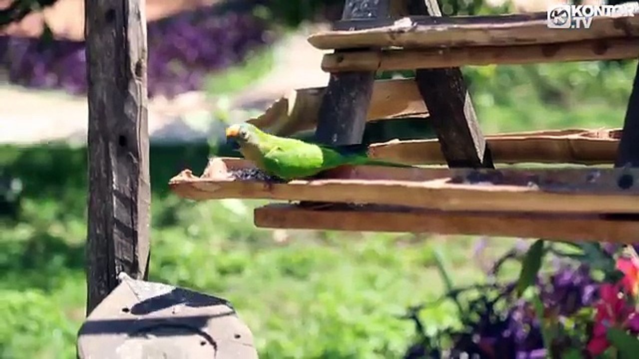 Gamper & Dadoni feat. Cozy - Far From Home