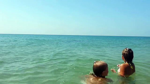 Дельфины на пляже