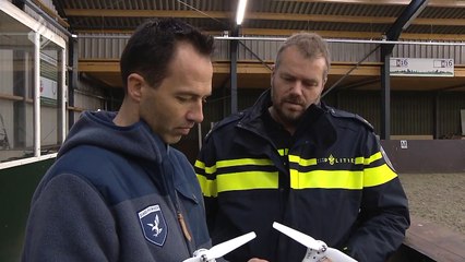 Des aigles dressés par la police néerlandaise pour capturer des drones fraudeurs