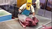 Suşi Restoranında Orkinos Balığının Kesimi Yok Böyle Bir Şey