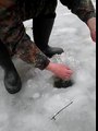 Nice Crappie and Bluegill! Ice Fishing Northern Minnesota 2016