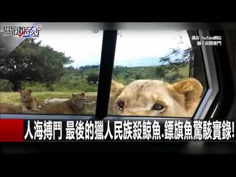 人海搏鬥 最後的獵人民族殺鯨魚.鏢旗魚驚駭實錄! 朱學恒 馬西屏 20160121-3 關鍵時刻