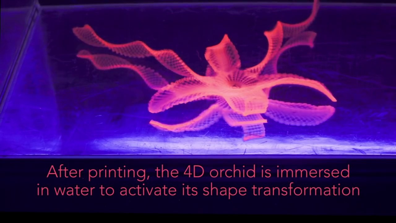 Diseñan una nueva técnica más sencilla de impresión 4D