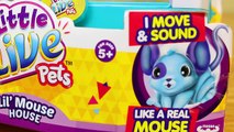 SURPRISE TOYS GIANT BALLOON DROP POP Shopkins CHALLENGE ✪ Gemma Stone, RARE Limited Editio