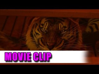 Life of Pi 'Please Send Help' Movie Clip (2012)