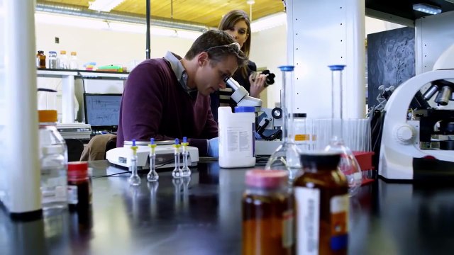 Meteor Assault (2015) - Official Trailer Mark Lutz, Anna Van Hooft, Emilie Ullerup