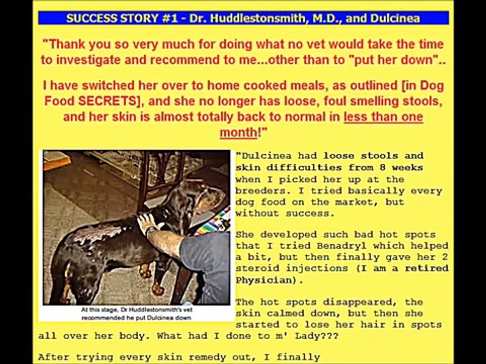 (Review) Dog Food Secrets Andrew Lewis (Dog Food Secrets)