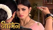 Naagin 31st January 2016 नागिन - Full Uncut - Episode On Location - Colors Serial News 2016