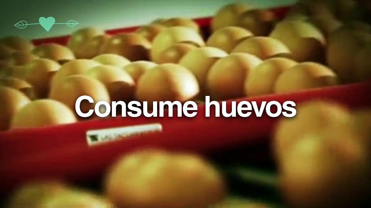 Como ayudar a tu cuerpo cuando quieres quedar embarazada