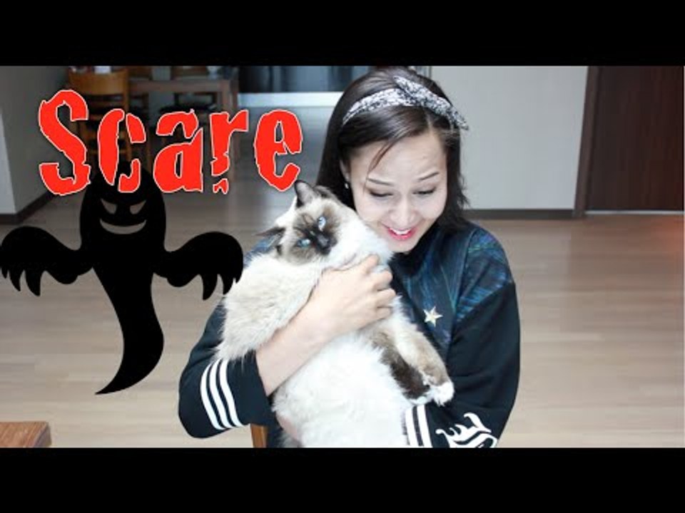 lights out Scare video Challenge
