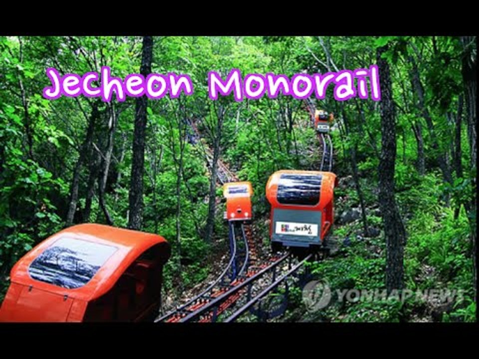 Awesome Korean Forest Monorail