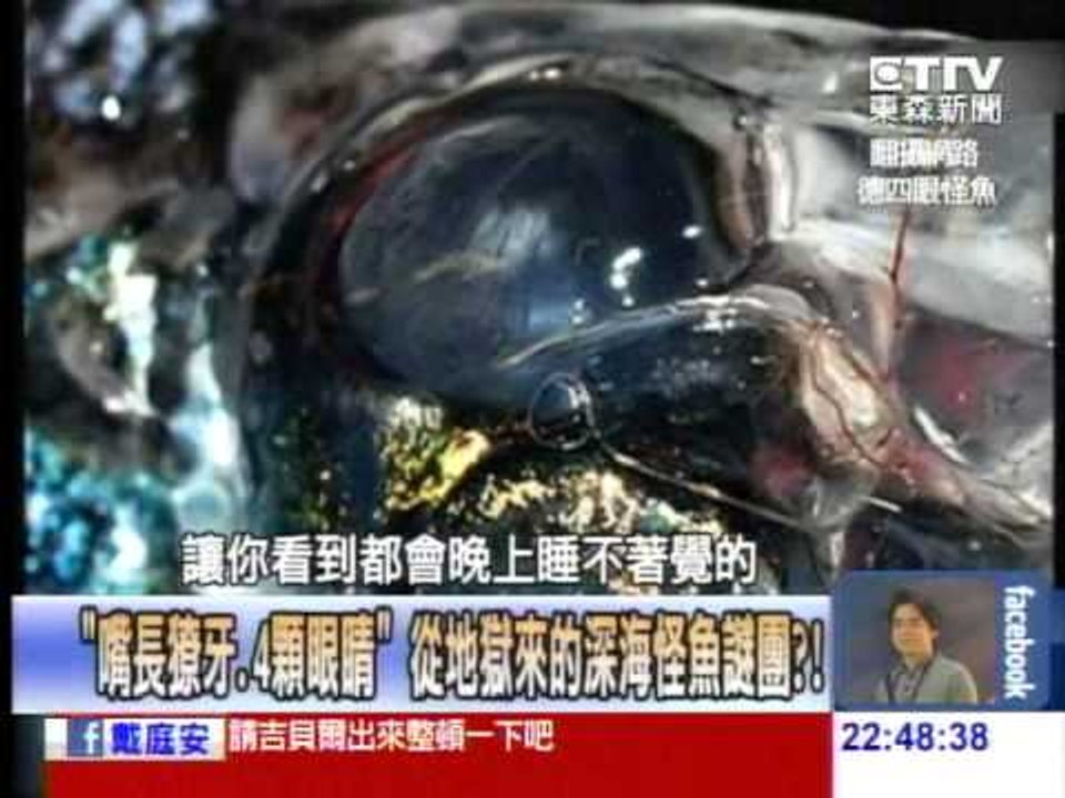 古老的深海吸血鬼 神秘「巨型吸血怪」畫面曝光？！20140711-3