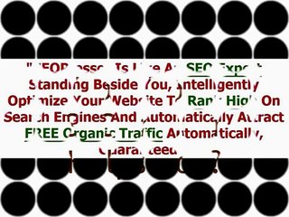 Learning Wordpress Plugin | SEOPressor