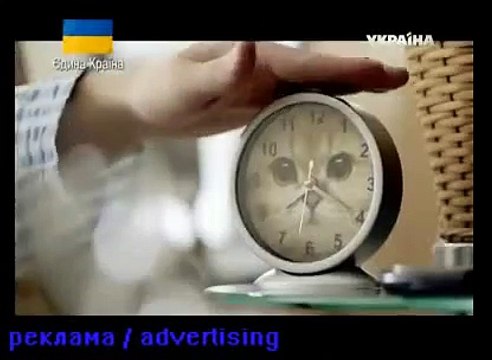 кошачий корм мяу кошачий корм корм мяу