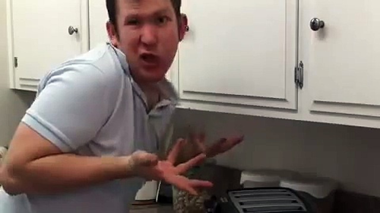 Mind Sync - SMART CHEWS - Toaster