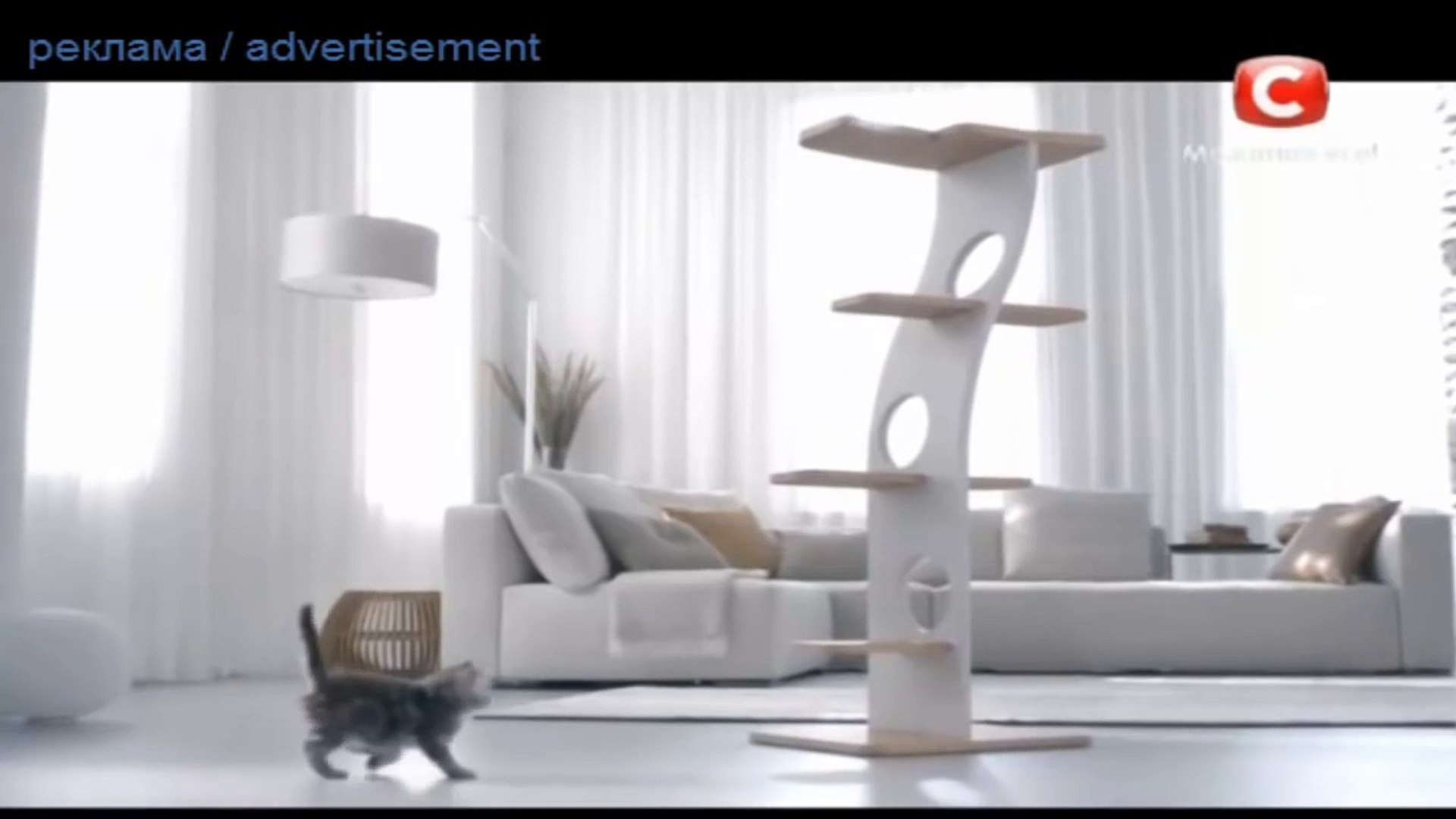 ⁣Реклама пурина  кошачий корм пурина ван  PURINA ONE