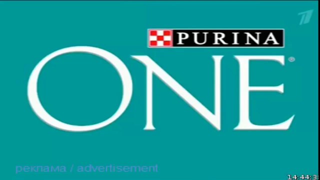 Реклама пурина PURINA пурина пурина для кошек русская реклама