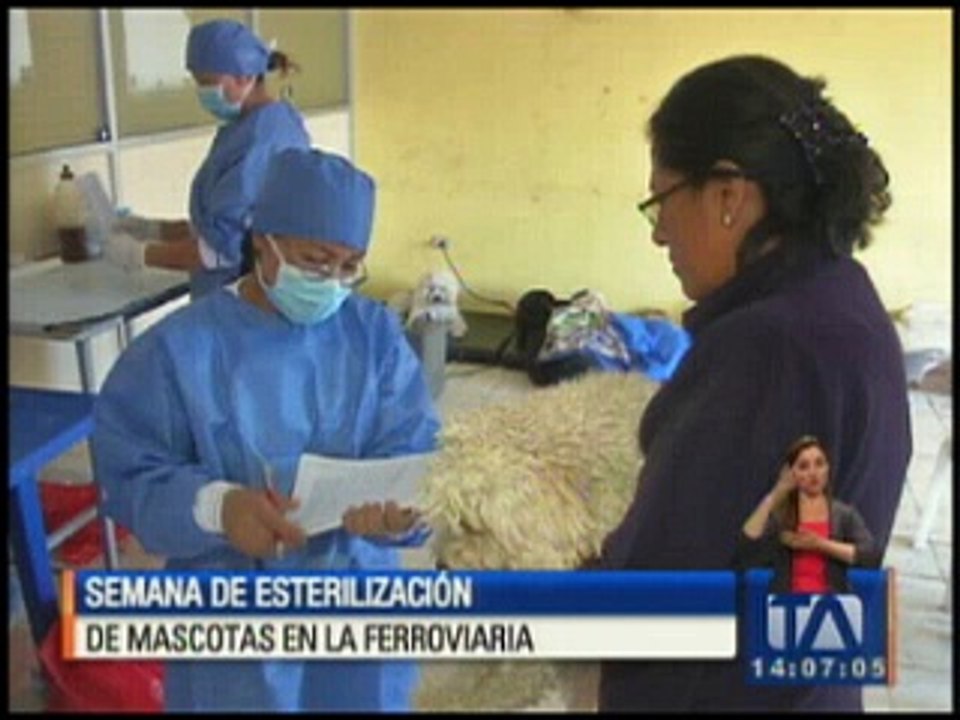 Esterilización de mascotas en la Argelia