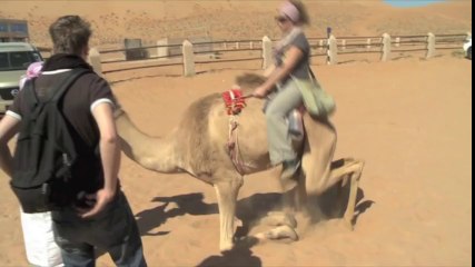OMG!! Girl is falling off a Camel