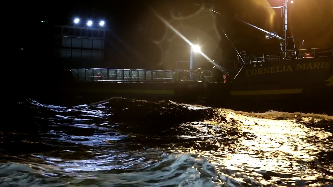 Alien Crustacean Invasion | Deadliest Catch