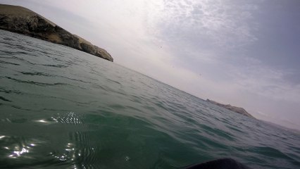 CARLOS CANLE EN PUERTO VIEJO