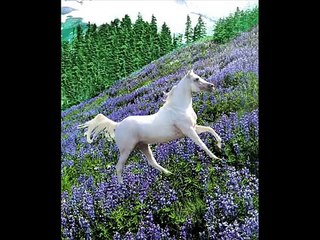 POLYUSHKA POLYE - ORIGINAL VERSION