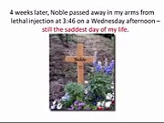 Dog Food Secrets. http://bit.ly/1KTYbZp