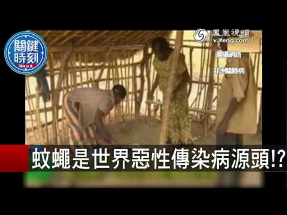 蚊蠅是世界惡性傳染病源頭 馬西屏 朱學恒 20150907-3 關鍵時刻