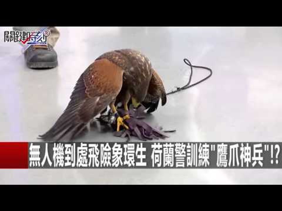 無人機到處飛險象環生 荷蘭警訓練"鷹爪神兵"!? 陳建宏 馬西屏 20160202-2 關鍵時刻