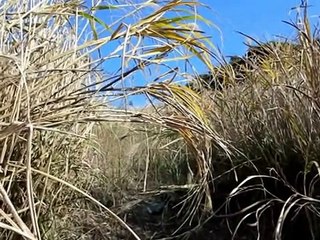 Лучшие эндуро мотоциклы - Yamaha WR250R