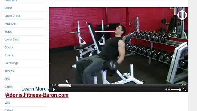 Adonis Golden Ratio Review: Behind-the-Scenes-Look at Software and Programs