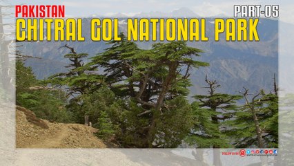 Chitral Gol National Park Pakistan Part 05