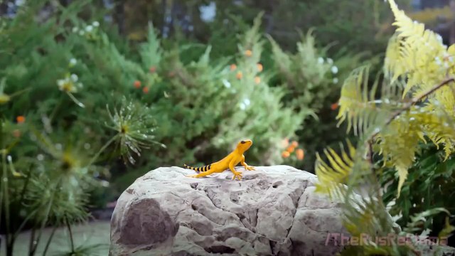 Реклама Билайн 2015 «Интернет навсегда» - Ящерица