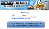 FOREX TRENDY - How to find out which pair and time frame is best to trade?
