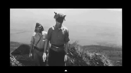 추천카지노,↘KOP77,COMº달팽이게임♥월드바카라게임